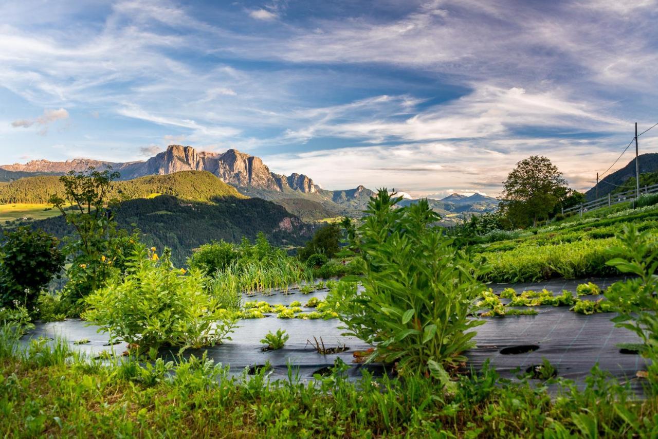 Oberpalwitterhof Διαμέρισμα Μπαρμπιάνο Εξωτερικό φωτογραφία